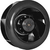 RQF 225FLW2